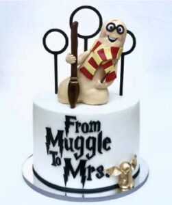 Chicago-Illinios-Muggle-Golden-Snitch-Bachelorette-Adult-Cake